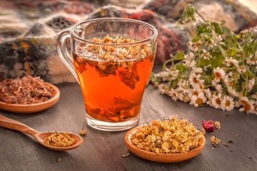 Herbal tea with pharmaceutical chamomile and dry chrysanthemum on a gray wooden table