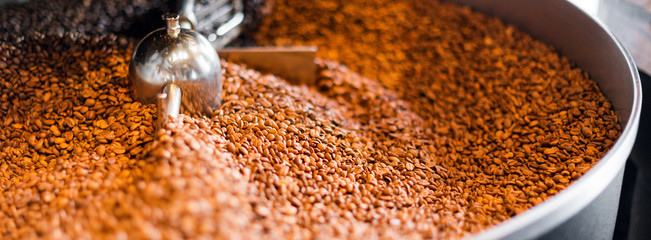 Freshly roasted coffee beans from a large roaster in the cooling cylinder. Motion blur on the beans, selective focus