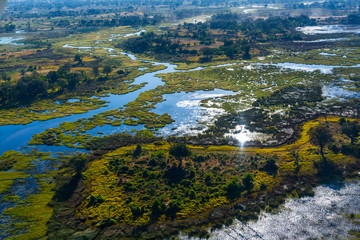 Okavango Delta, Botswana, Africa - obrazy, fototapety, plakaty