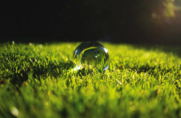 Lensball auf Rasen