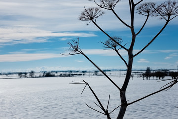 Murgia plateau countryside winter landscape covered by snow. Apulia region, Italy.