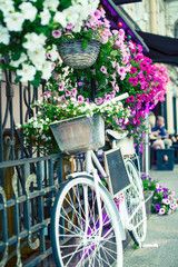 Fototapeta na wymiar flower in basket of vintage bicycle on vintage wooden house wall, summer concept