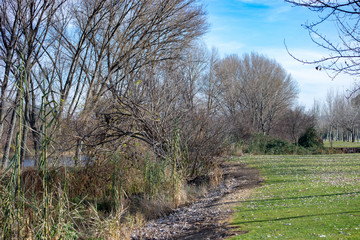 Nature and green colors landscape almost winter