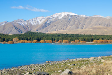 Great scenery at Lake Tekapo, South Island, New Zealand