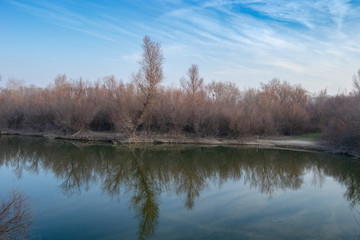 Fototapeta na wymiar Landscape on winter of Juslibol Galachos nice reflections over the water