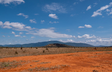 Fototapeta na wymiar Landscape of Tsavo East National Park, Kenya