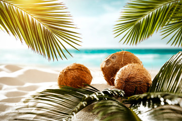 Fresh coconuts on beach and summer time. green palms leaves and ocean landscape 