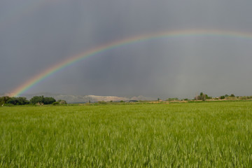 Naklejka premium Beautiful storm landscape surroundings of Zaragoza rain rainbow and horizon hills