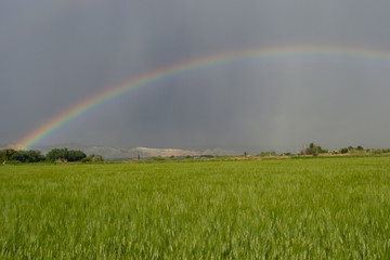 Beautiful storm landscape surroundings of Zaragoza rain rainbow and horizon hills