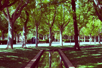 Jose Antonio Labordeta park Landscape nature scene Zaragoza