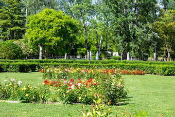Jose Antonio Labordeta park Landscape nature scene Zaragoza