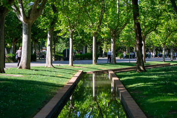 irrigation ditch of Big park In Zaragoza Nature and green