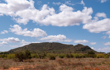Landscape of Tsavo East National Park, Kenya