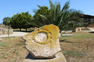  Prehistorical petroglyphs in Gala State Historical Ethnographic Reserve in Azerbaijan (e.g. 3-2...
