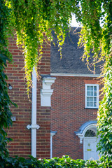 Beautifull composition of architecture and nature in london