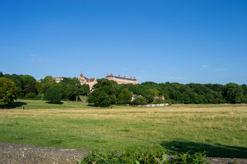 London park Richmount full of nature