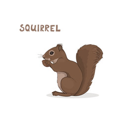 A cartoon cute squirrel, isolated on a white background. Animal alphabet.