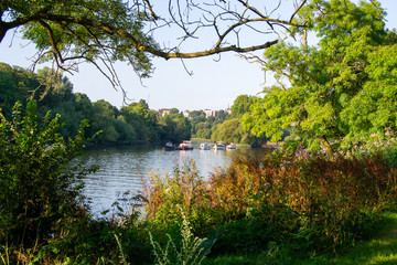 landscape of the nature of england