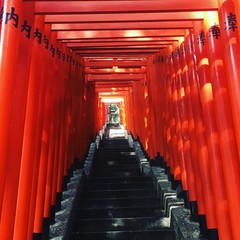 Fototapeta premium Reebooooo