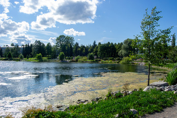 Landscape of Kuopio at summer