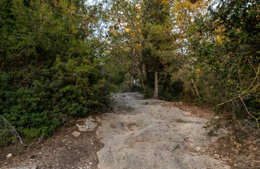 Fototapeta na wymiar The stone footpath leading through the Hanita forest in northern Israel, in the rays of the setting sun