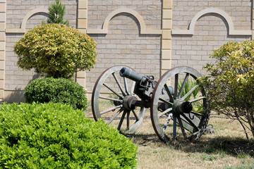 Cannon in the castle garden