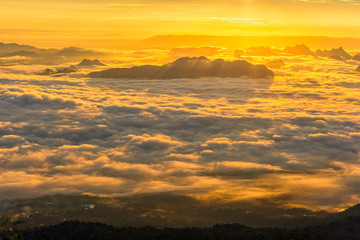 Foggy mountain in deep forest at sunrise.