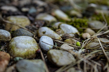 Macro Pebbles