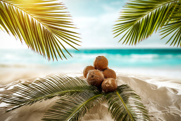 Fresh coconuts on beach and summer time. green palms leaves and ocean landscape 