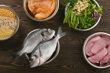 Panorama banner with healthy pet food ingredients with chopped raw turkey, fish, groats, greens and...