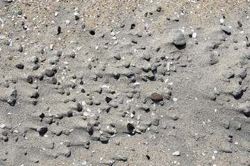 Sand stones on the beach