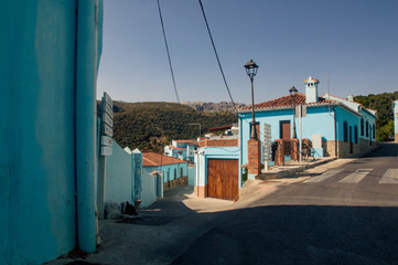 Juzgar - niebieskie domy i pies na skrzyżowaniu