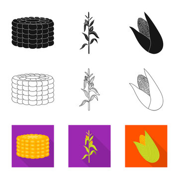Vector illustration of cornfield and vegetable symbol. Collection of cornfield and vegetarian vector icon for stock.