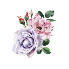 Bouquet of roses, watercolor, can be used as greeting card, invitation card for wedding, birthday and other holiday and  summer background.