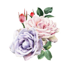 Obrazy  Bukiet róż, akwarela, może służyć jako karty z pozdrowieniami, zaproszenia na ślub, urodziny i inne tło wakacje i lato.