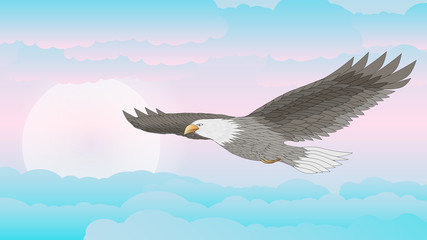 Big bird eagle in flight against the sky. Vector illustration.