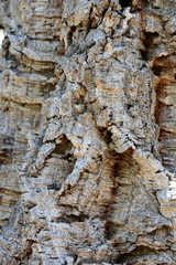 Old cork 