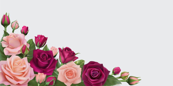 Horizontal card with delicate realistic roses