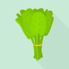 Spinach branch icon. Flat illustration of spinach branch vector icon for web design