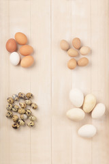 Quail, chicken, goose and guinea fowl eggs of different sizes and colors located on light wooden dyed background.