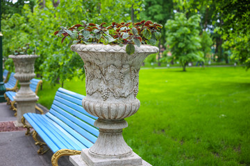 antique vase with flowers in the green park