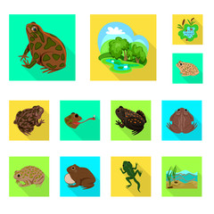 Vector design of wildlife and bog logo. Set of wildlife and reptile vector icon for stock.