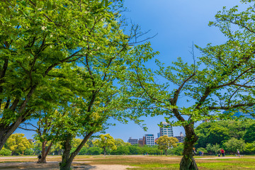 初夏の舞鶴公園【福岡県】