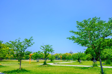 Obraz premium 初夏の舞鶴公園【福岡県】