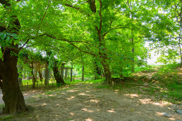 初夏の舞鶴公園【福岡県】