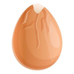 Crack chicken egg icon. Cartoon of crack chicken egg vector icon for web design isolated on white background