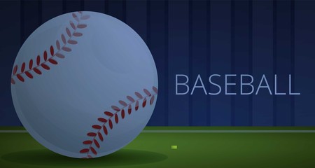 Baseball pitch concept banner. Cartoon illustration of baseball pitch vector concept banner for web design