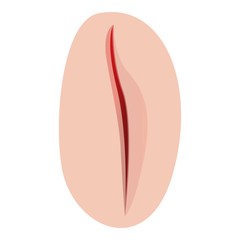Scalpel medical suture icon. Cartoon of scalpel medical suture vector icon for web design isolated on white background