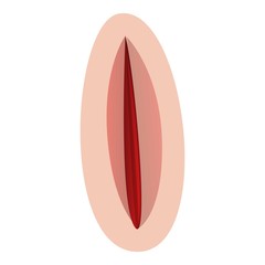 Recovery suture icon. Cartoon of recovery suture vector icon for web design isolated on white background