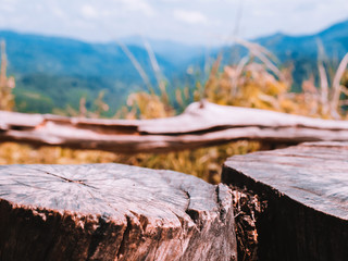 camping and travel in tropical forest concept from surface of the old tree with soft focus forest and mountain background